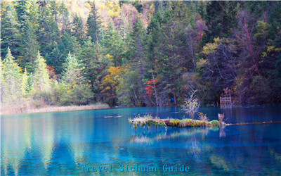 a Lake in Jiuzhaigou