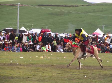 Litang Horse Racing Festival.jpg