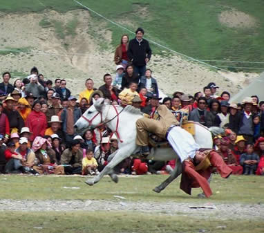 Litang Horse Racing.jpg