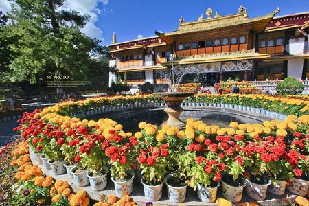Prosperous Blossoms in Norbulingka.jpg