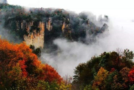Yangjajie Scenic Area.jpg