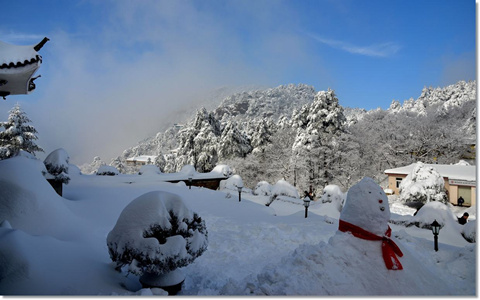 Winter snow.jpg