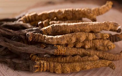 Jiuzhaigou Shopping Guide(1) - Rare Medicinal Materials