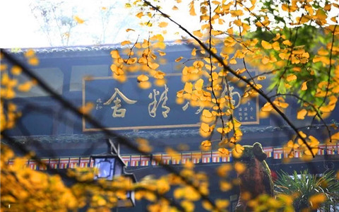 Vegetarian Feast of Mt.Emei