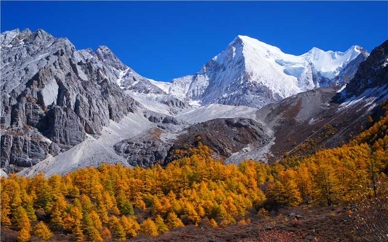 Daocheng Yading Shopping