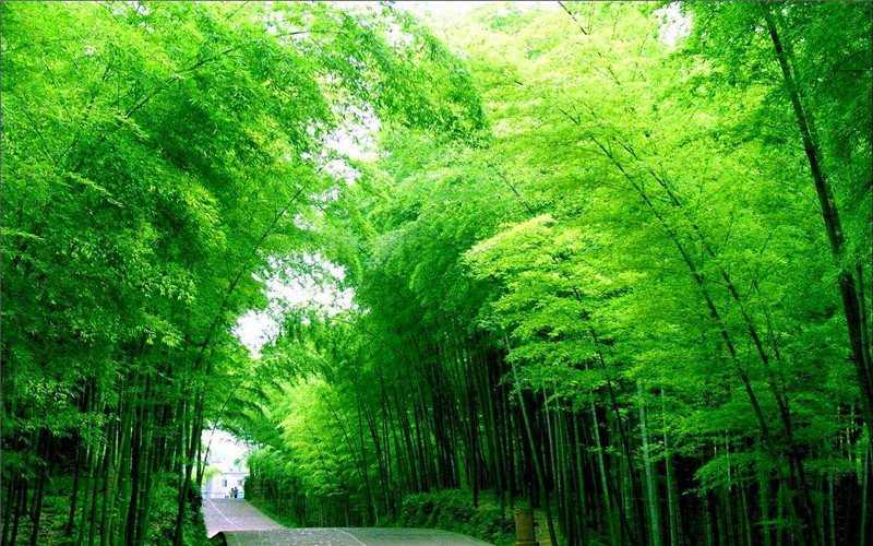 Bamboo Art Works