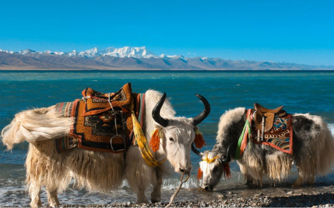 Travel tips in Lhasa