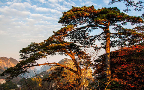 Huangshan Weather
